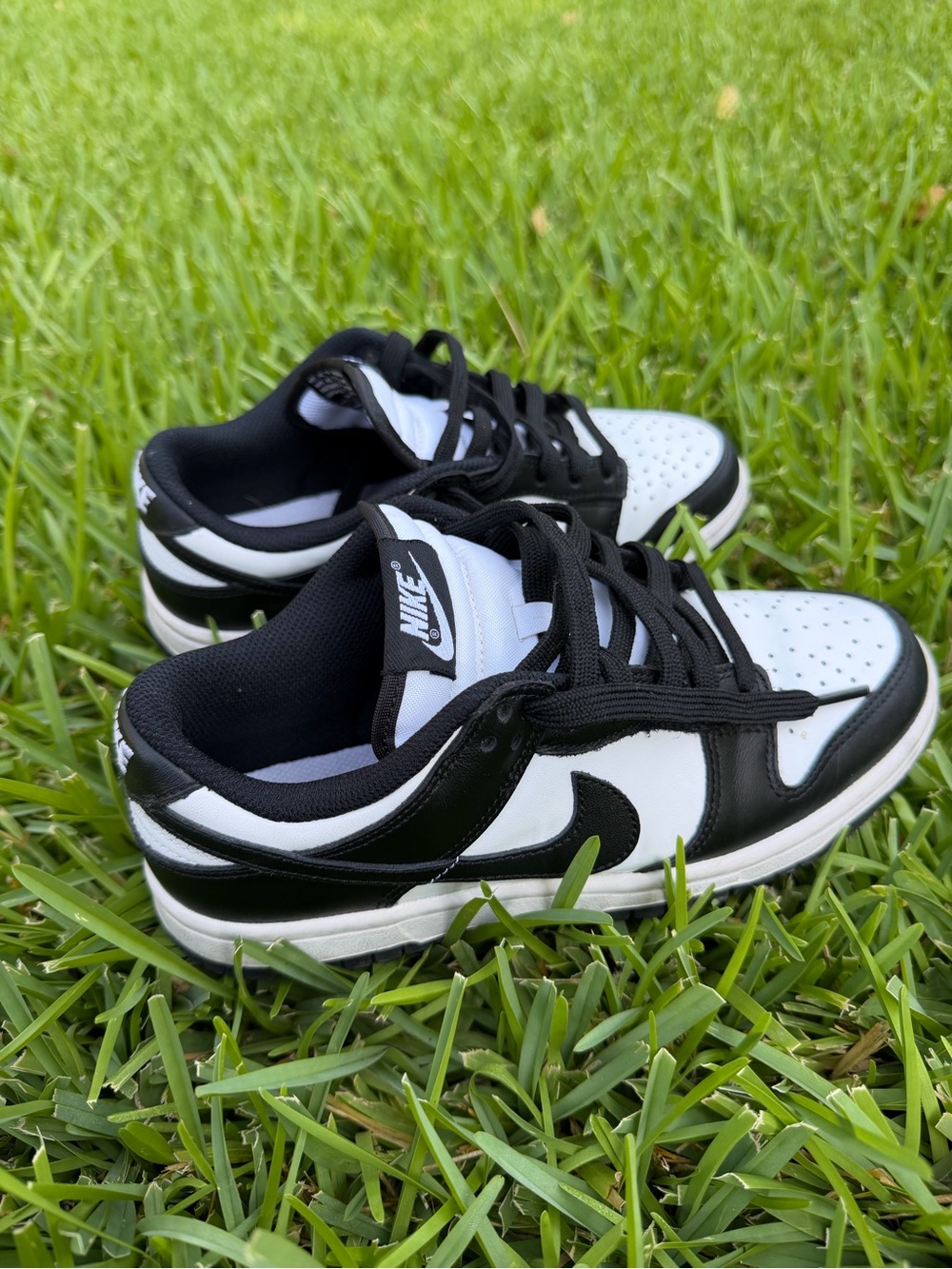 Nike Panda Dunks (size women’s 6)